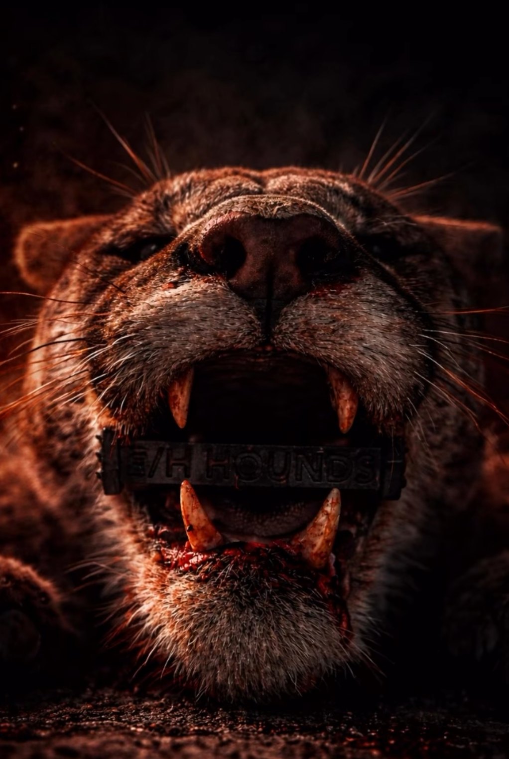 Mountain lion with Last Bite tool holding jaws open